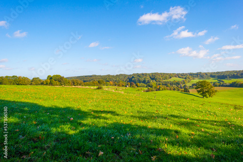 Fields and trees in a green hilly grassy landscape under a blue sky in sunlight in autumn, Voeren, Limburg, Belgium, October, 2022 © Naj