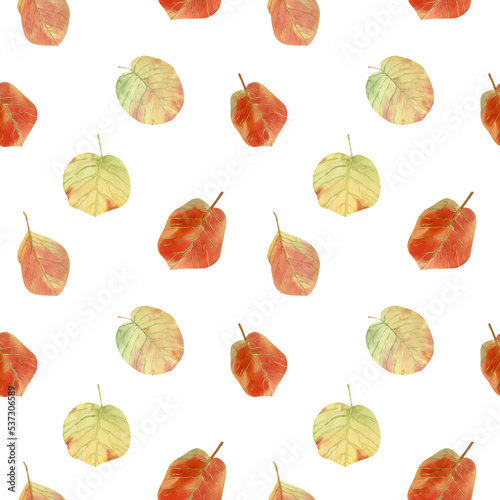 Fototapeta Naklejka Na Ścianę i Meble -  Seamless birch leaves fall pattern. Watercolor background with red and yellow autumn leaf for textile, wallpapers, decor