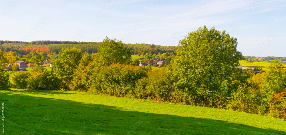 Fototapeta premium Fields and trees in a green hilly grassy landscape under a blue sky in sunlight in autumn, Voeren, Limburg, Belgium, October, 2022