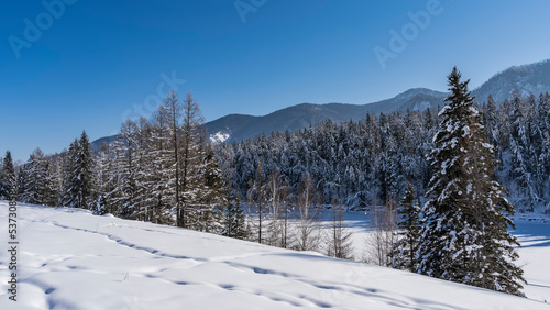 Frozen river in the taiga. Coniferous trees on the shore are covered with frost. Mountains against the blue sky. In the foreground is a snow-covered hill. Altai