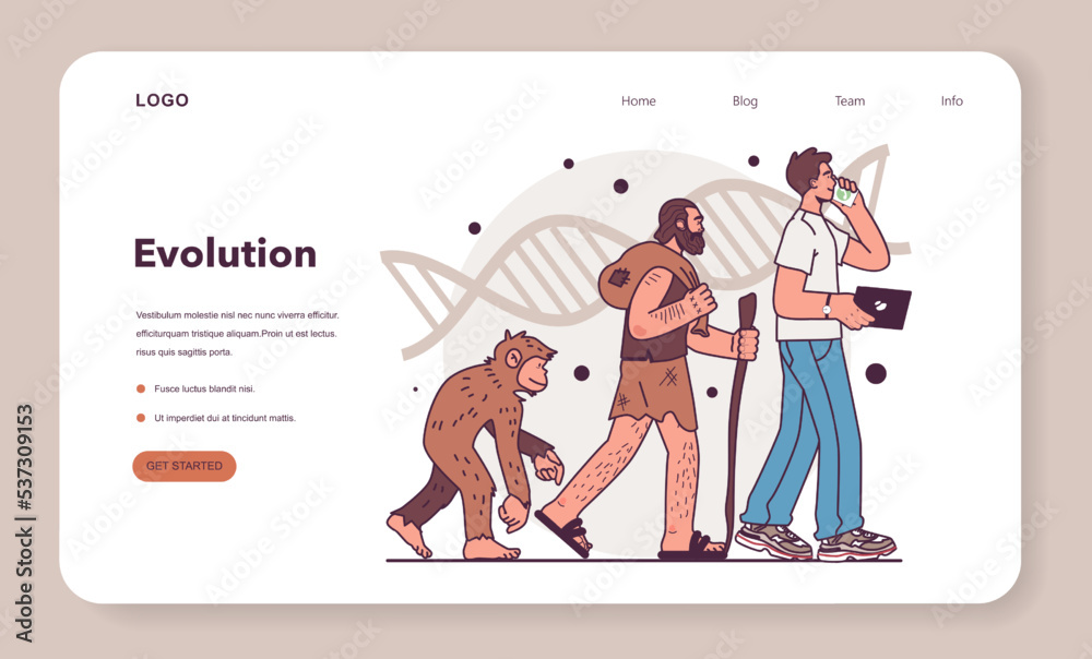 Human evolution stages. Evolutionary development from primate Stock ...