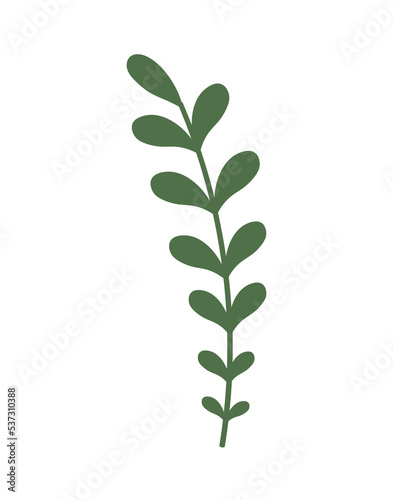 Leaf on white background. Vector illustration 