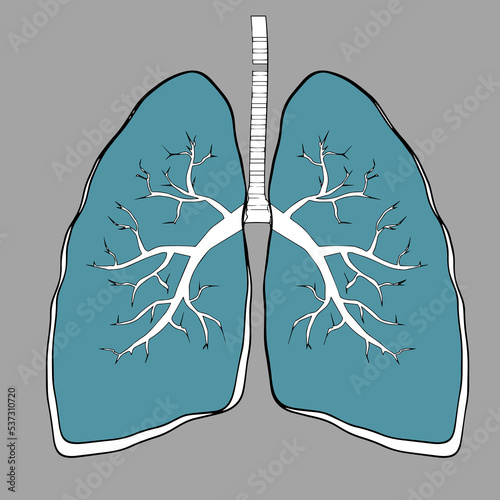 Pulmonology illustration. Flat tiny lungs healthcare persons concept. Abstract respiratory system examination and treatment. Internal organ inspection check for illness, disease or problems.