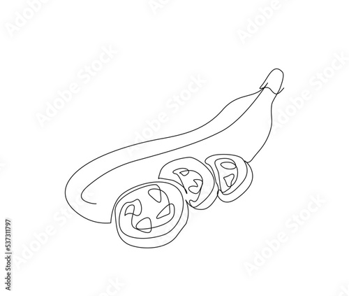 Continuous line art drawing of Eggplant. Egg-plant single line art drawing vector illustration.