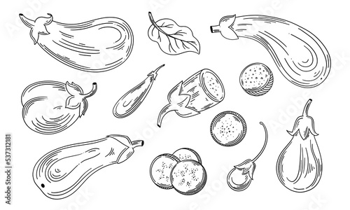 Hand Drawn Eggplant, half a eggplant and a slice. Black and white. Vector illustration, isolated on a white background