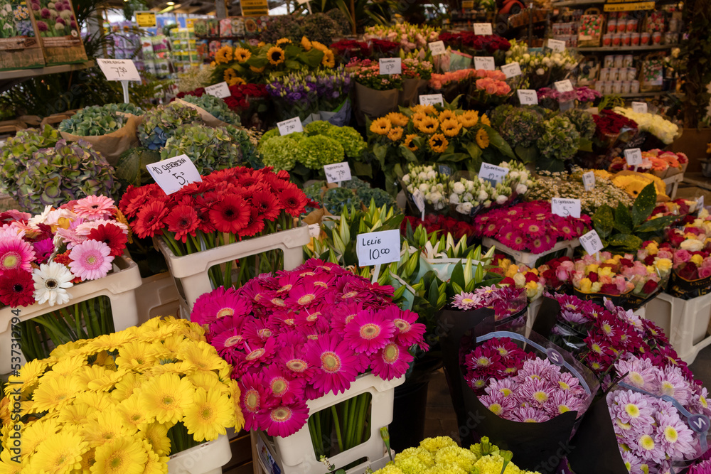  Flower market in the city center Amsterdam.