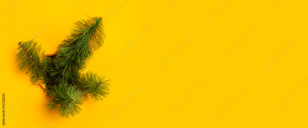 Christmas tree breaks through the yellow background. New Years and Christmas Eve Concept. Banner. Christmas tree breaks through the yellow background. New Years and Christmas Eve Concept. Banner.