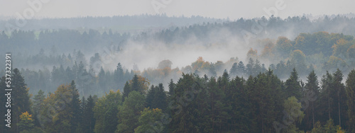 Amazing mystical rising fog forest autumnal trees and firs landscape in black forest ( Schwarzwald ) Germany panorama banner - Dark autumn mood