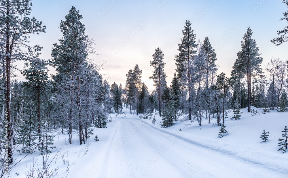 Obraz premium Winter landscape with snowy road between the trees. Finland, Scandinavia.