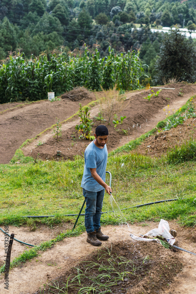 Latin man irrigating the land in a rural field. Latin man irrigating the land in a rural field.