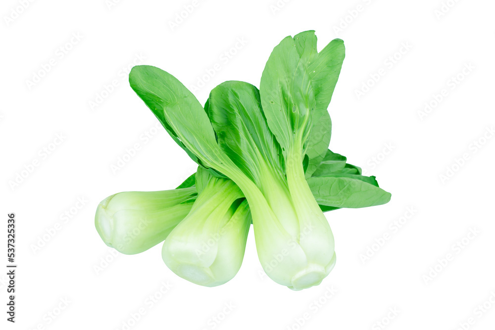 Bok choy, chinese cabbage Bok choy, chinese cabbage