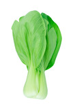 Bok choy, chinese cabbage