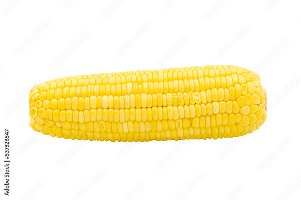 Corn isolated on white background with clipping path Corn isolated on white background with clipping path