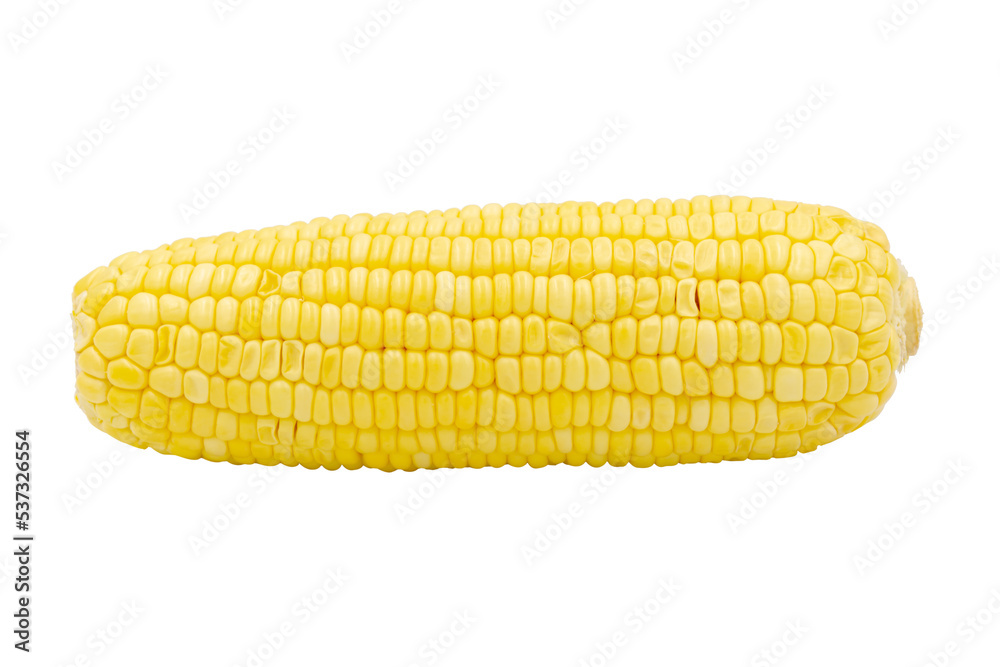 Corn isolated on white background with clipping path Corn isolated on white background with clipping path