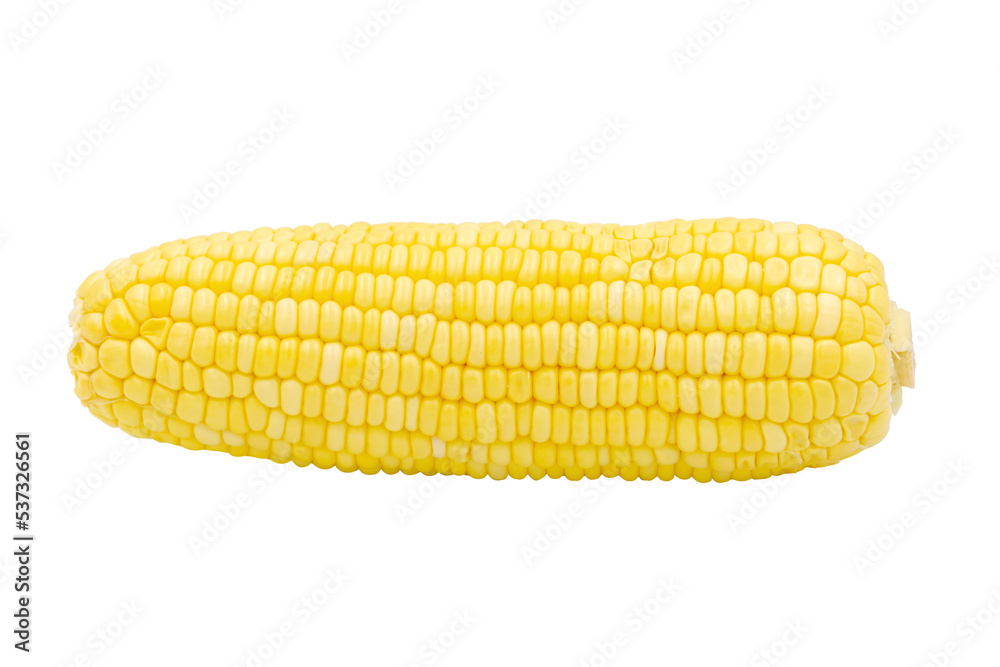 Corn isolated on white background with clipping path Corn isolated on white background with clipping path