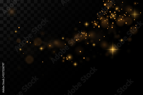 Vector eps 10 gold particles. Glowing yellow bokeh circles, sparkling golden dust abstract gold luxury background decoration