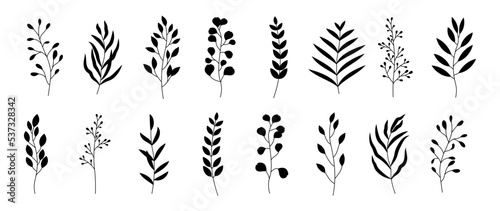 Stampa su tela Set of minimalistic vector botanical flower branches in silhouette style