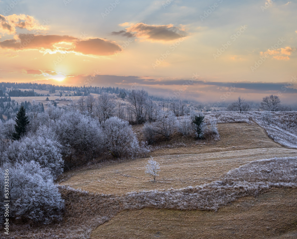 Fall winter scene