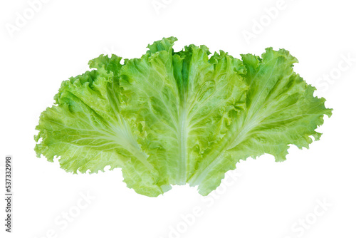 Salad leaf. Lettuce isolated on white background. with clipping path