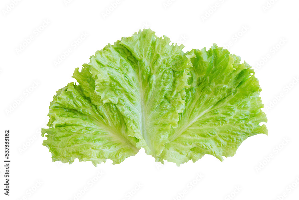 Salad leaf. Lettuce isolated on white background. with clipping path Salad leaf. Lettuce isolated on white background. with clipping path