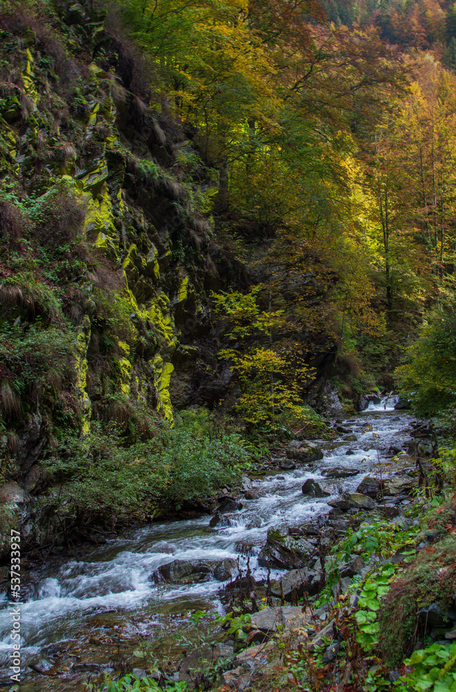 Autumn mood Autumn mood