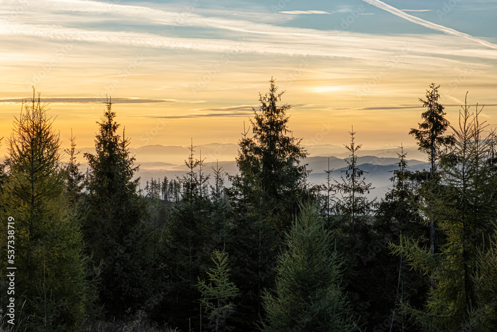 Coniferous forest, High Tatras mountain, Slovakia, sunrise scene Coniferous forest, High Tatras mountain, Slovakia, sunrise scene