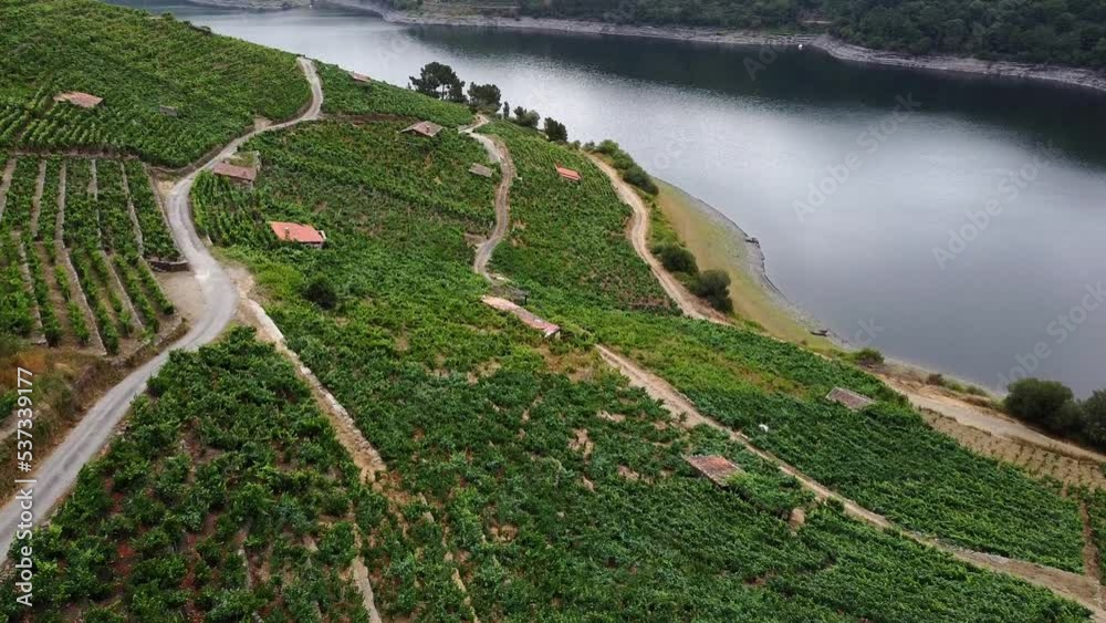 Aerial drone view of high elevation hillside vineyards in Ribeira Sacra region in Galicia. Sil river
Aerial drone view of high elevation hillside vineyards in Ribeira Sacra region in Galicia. Sil river
