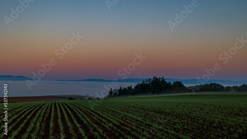 畑と雲海 日の出前 ビーナスベルト 北海道