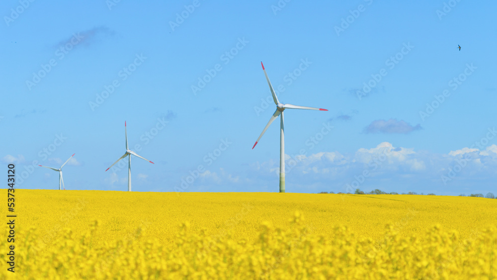 Wind turbine in a rapeseed field on a sunny summer day Wind turbine in a rapeseed field on a sunny summer day