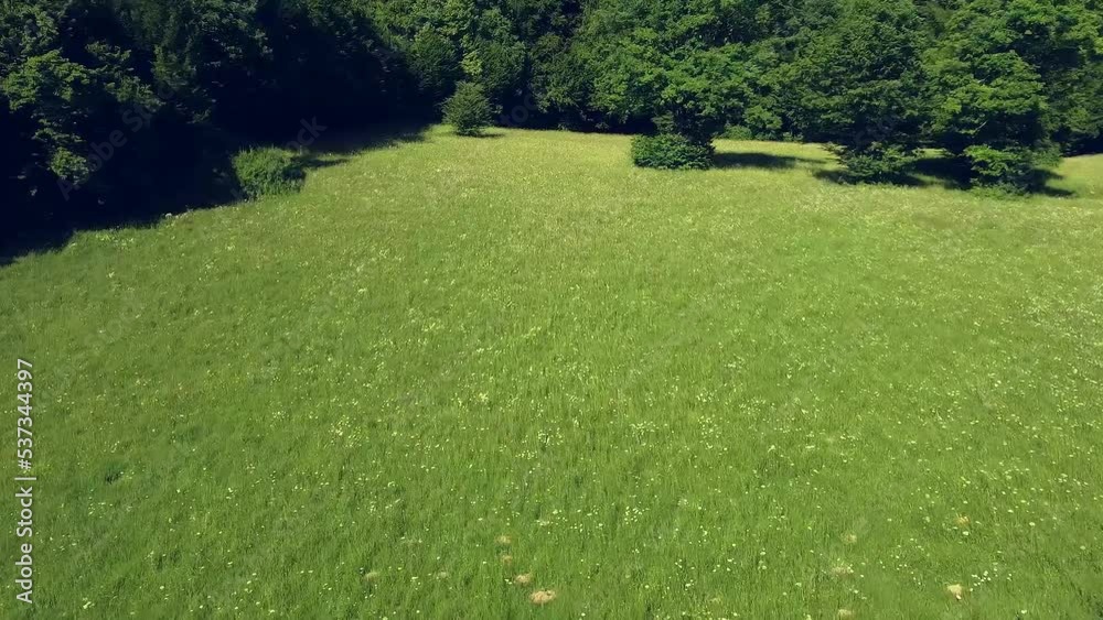 View over the summer green fields from the above.