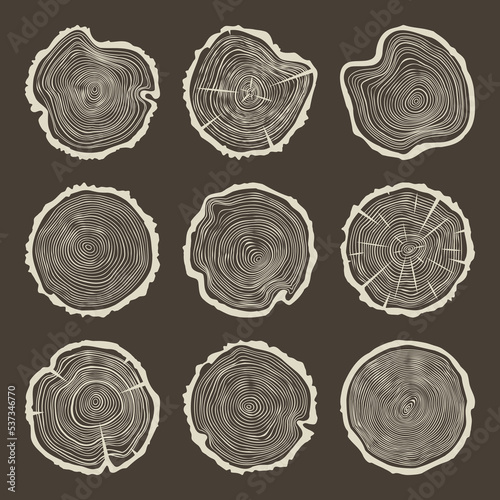 Round tree trunk cuts with cracks, sawn pine or oak slices, lumber. Saw cut timber, wood. Brown wooden texture with tree rings. Hand drawn sketch. Vector illustration