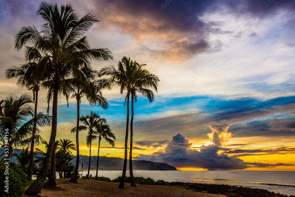 Fototapeta premium North Shore Oahu Hawaii Sunset