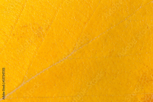 Valokuva close up of yellow leaf texture at fall