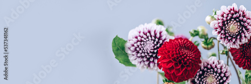 Beautiful bunch of dahlia flowers on grey background, Autumn garden flowers, copy space, banner size
