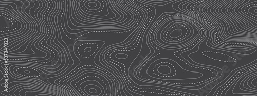Black and white wavy abstract topographic map contour, lines Pattern background. Topographic map and landscape terrain texture grid. Wavy banner and color geometric form. Vector illustration.