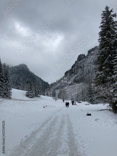 Mountain landscape in the winter day with fog. Forest and trees with the snow in the winter day. Mountain path for hiking in the mountains with snow, trees and forest. Foggy snow mountain landscape.