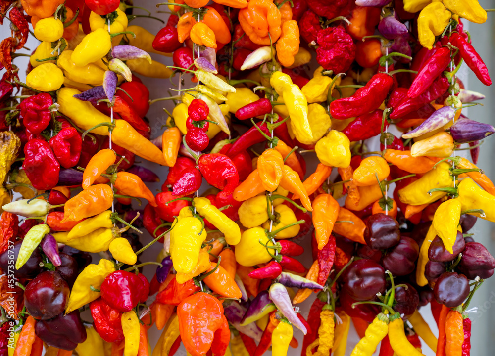 bunches of red and yellow hot peppers