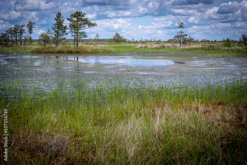 Picturesque lake backwaters in the middle of swamps. Landscape with sky and water.