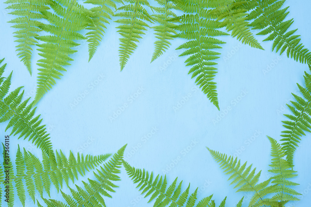 fern leaves on a rough concrete background. 
