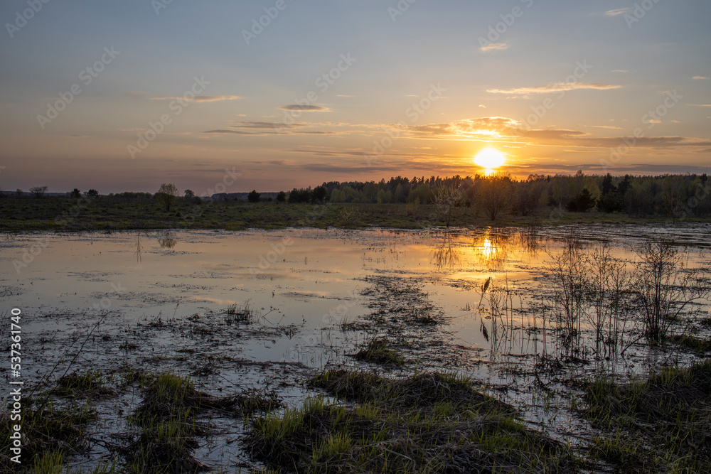 Wetland area. evening landscape, sunset over the swamp. Early spring.