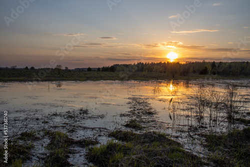 Wetland area. evening landscape, sunset over the swamp. Early spring.