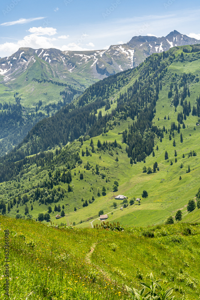 Alpen valley of the Buochserhorn near Buochs in Switzerland. 