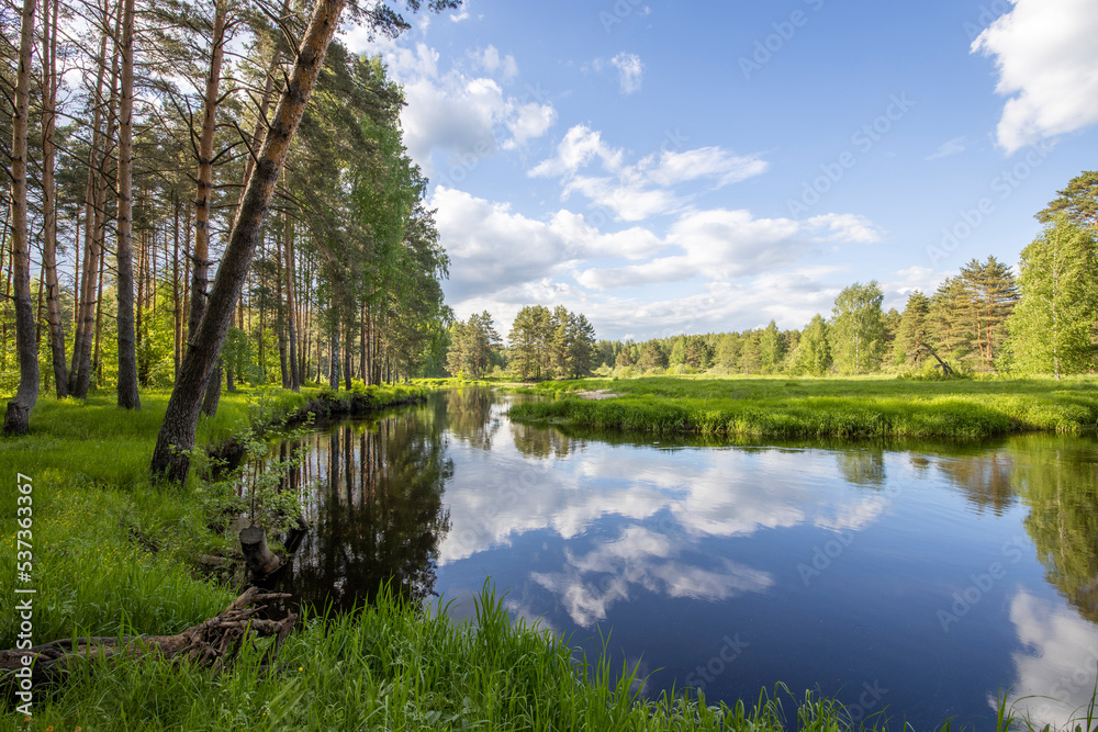 Bright sunny landscape with pine trees near the river. The sun's rays illuminate the young greenery and trees. The sky and clouds are reflected in the river. Bright sunny landscape with pine trees near the river. The sun's rays illuminate the young greenery and trees. The sky and clouds are reflected in the river.