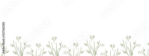 Green herbal border on a white background. Botanical seamless frame  banner for text placement. Rectangular vector illustration in naive style for promotion  discounts  advertising.