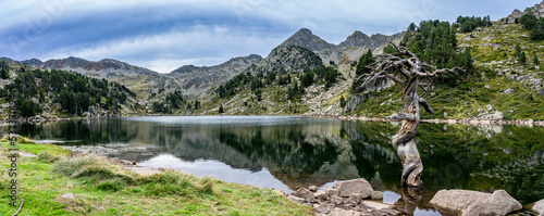Sommerurlaub in den spanischen Pyrenäen: Wanderung zur Seenlandschaft von Baciver im Naturschutzgebiet Alt Pirineu - Panorama mit See, Gipfeln und Baum im Wasser photo