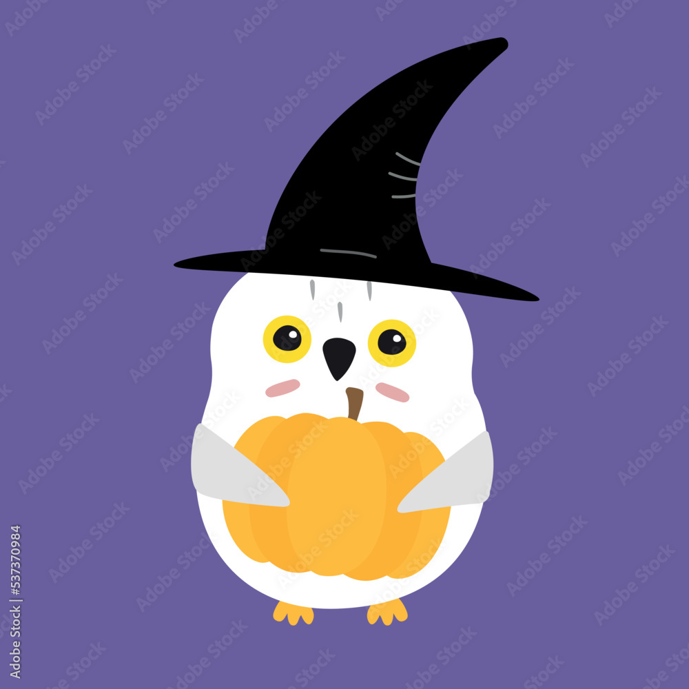 Vector flat cartoon Halloween witch owl with pumpkin and hat isolated on purple background