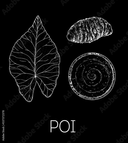 Poi, Hawaiian food. Hand drawn vector illustration. Sketch style. Top view. Vintage vector illustration.