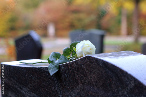 Eine weiße Rose als Zeichen der Trauer photo