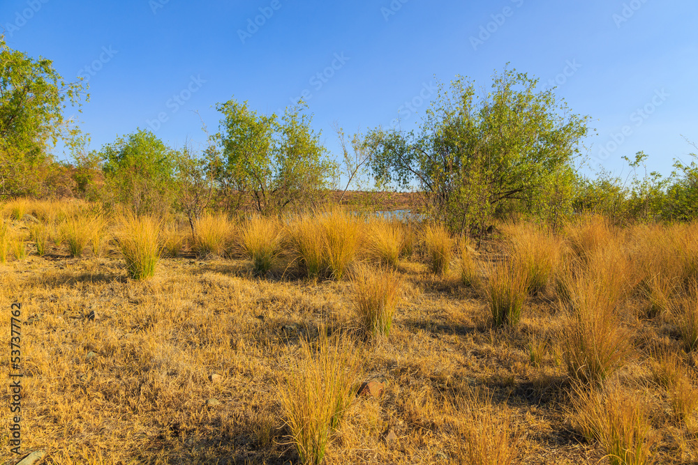Fototapeta premium View of the Lake Oanob, holiday resort, Namibia.