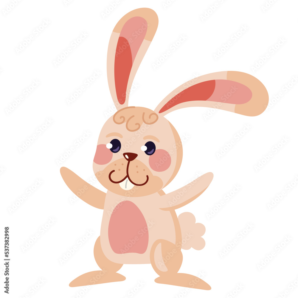 cute rabbit animal cute rabbit animal